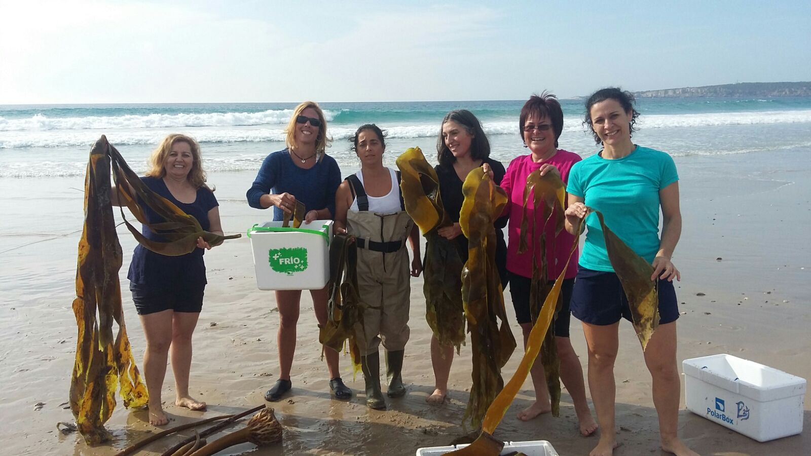 Grupo de alumnas recolectando algas